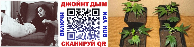 Купить наркотик аптеки Лакинск блэк спрут зеркало Амфетамин Меф мяу мяу ГАШИШ Каннабис Кокаин