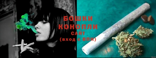 сатива Коряжма