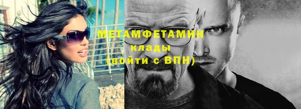 сатива Коряжма